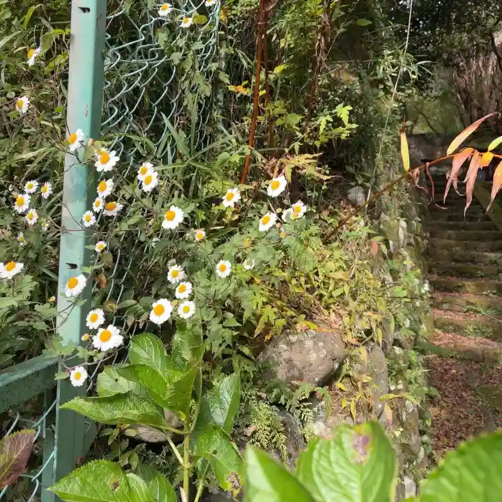 権現坂祠(神奈川県)