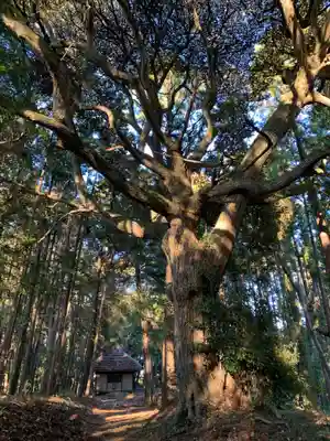 宇迦大神(千葉県)