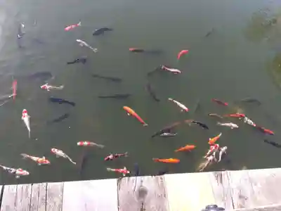 伊部波島大神(新潟県)