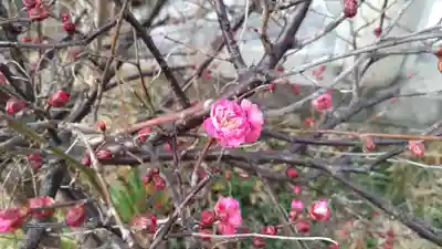 住吉神社の自然
