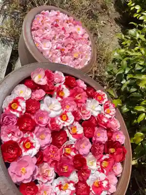 霊鑑寺門跡の手水舎