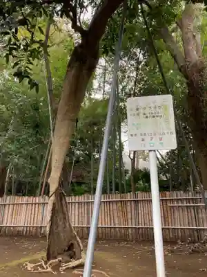 峯ヶ岡八幡神社(埼玉県)