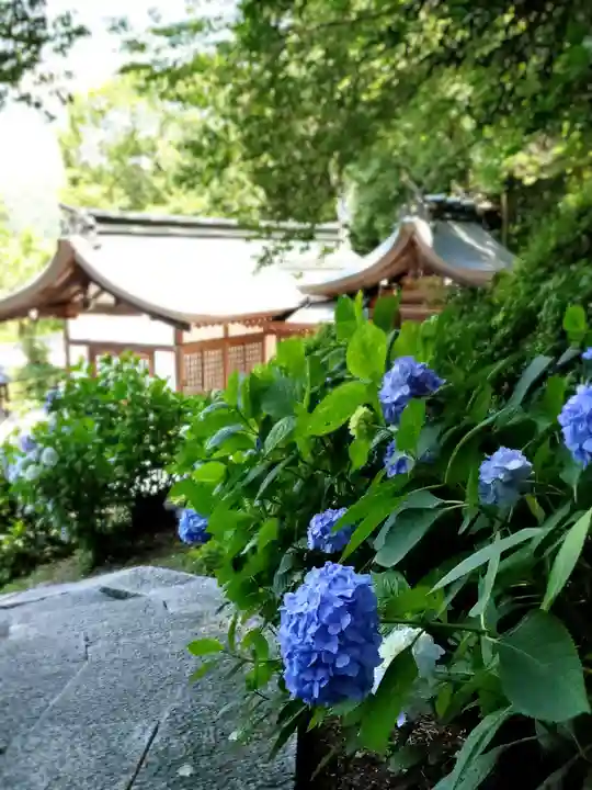 吉備津神社の本殿・本堂