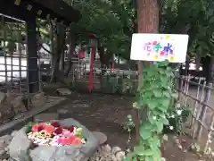 発寒神社の手水