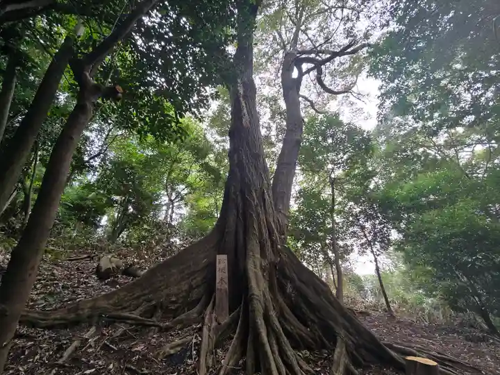 粉河産土神社(たのもしの宮)(和歌山県)