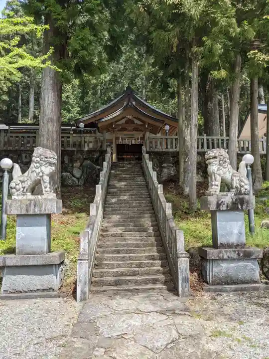 高賀神社の狛犬