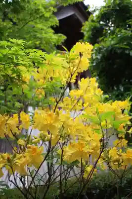 石光寺(奈良県)