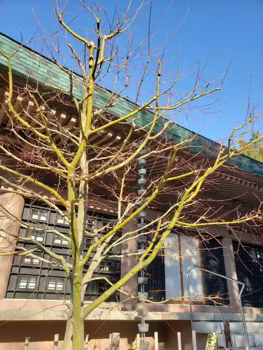 慈宏寺(東京都)