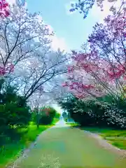 女化神社(茨城県)