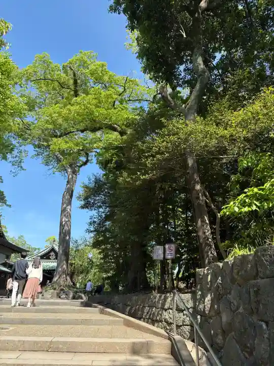 三嶋大社(静岡県)