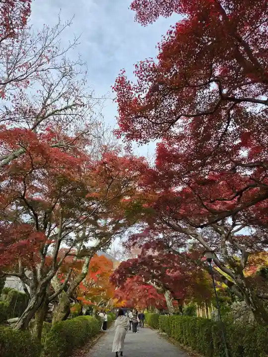 西教寺(滋賀県)