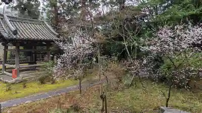 十輪寺(京都府)