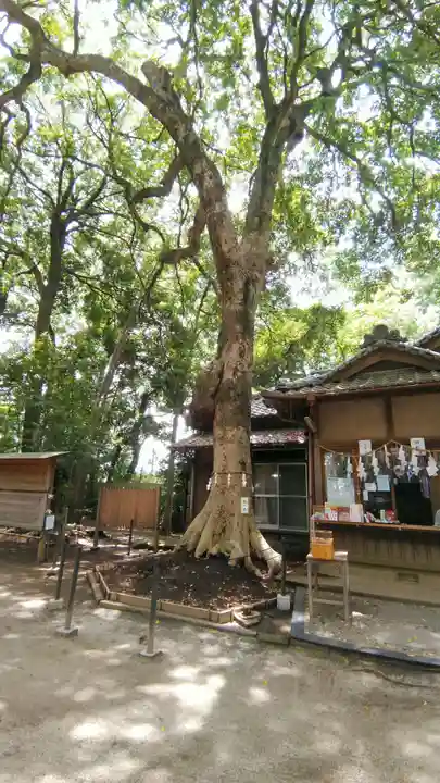 氷川女體神社(埼玉県)
