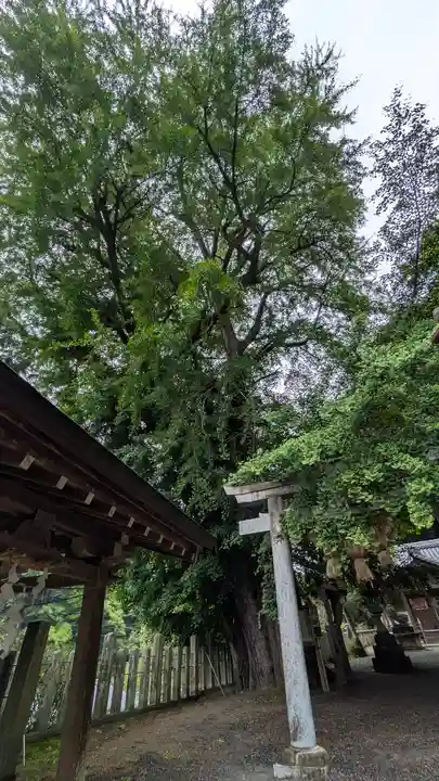 素盞雄神社(奈良県)
