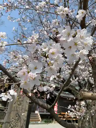  高鳥天満宮の自然