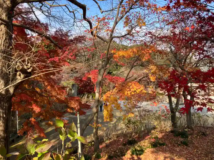 本土寺(千葉県)