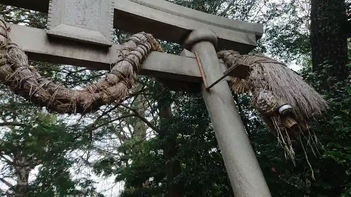 奥澤神社の鳥居