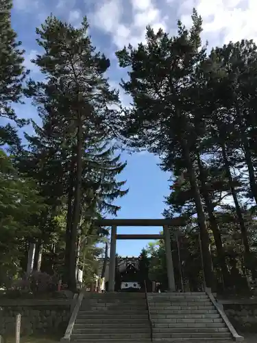 上川神社の鳥居