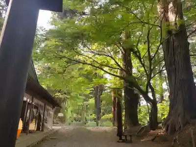 中尊寺(岩手県)