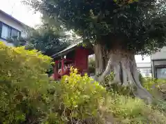 稲荷神社(千葉県)