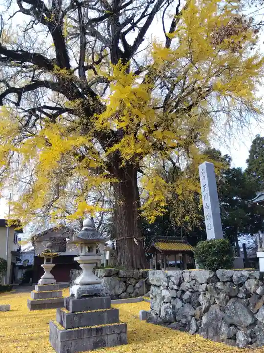 天川命神社(滋賀県)