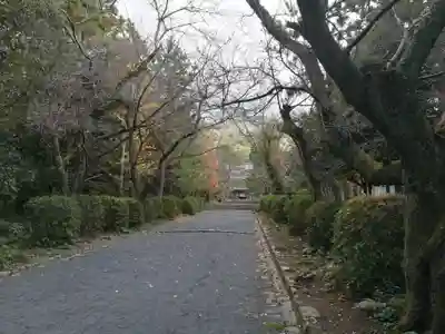 東光寺(山口県)