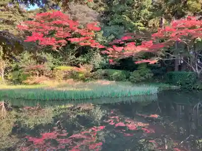 長岳寺(奈良県)
