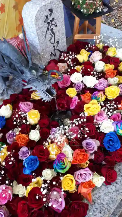 札幌諏訪神社の手水舎