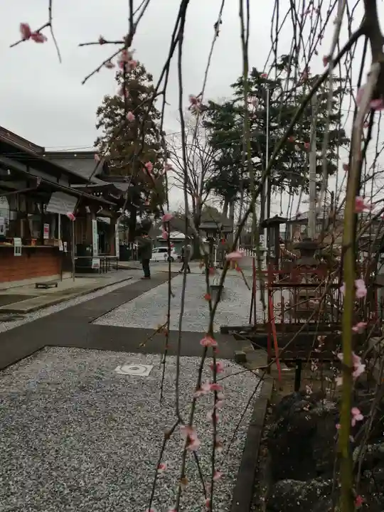 武蔵第六天神社のその他建物