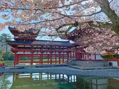 平等院の本殿・本堂