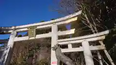 三峯神社(埼玉県)