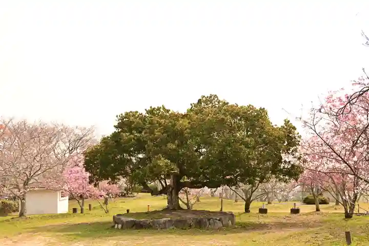 理正院(愛媛県)