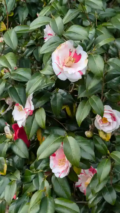 榮春禅寺(栄春寺)(京都府)