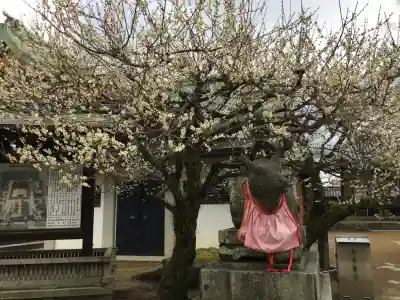 北野天満宮(京都府)