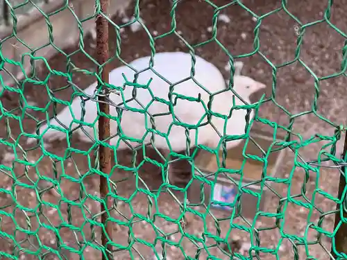 進雄神社(群馬県)