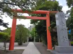 稲毛神社(神奈川県)