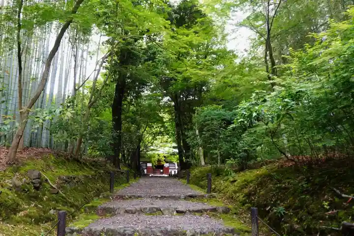 地蔵院(京都府)