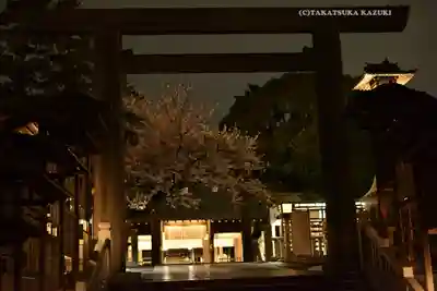 伊勢山皇大神宮の鳥居