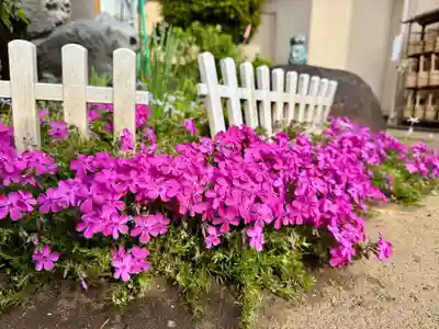 福王山  慈眼寺(東京都)