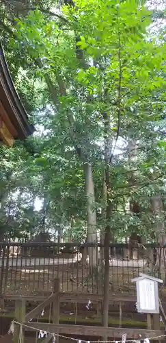 一言主神社の自然