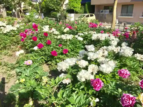 谷河内日枝神社の庭園