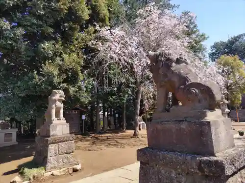 伏木香取神社の狛犬