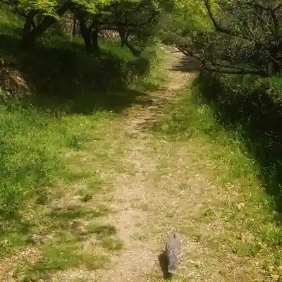 篠ｹ谷神社の動物