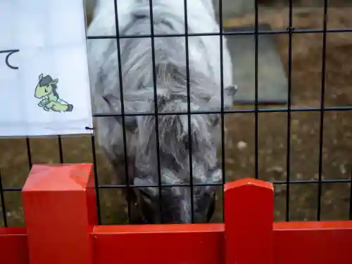 神田神社（神田明神）の{uncategorized: "未分類", other: "その他", undefined: "問題あり", building: "その他建物", grave: "お墓", sacred_gate: "鳥居", guardian: "狛犬", statue: "像", buddha: "仏像", history: "歴史", nature: "自然", garden: "庭園", animal: "動物", pagoda: "塔", temizu: "手水舎", mountain_gate: "山門・神門", sanctuary: "本殿・本堂", subordinate: "末社・摂社", art: "芸術", scenery: "景色", jizo: "地蔵", ema: "絵馬", goshuin: "御朱印", omikuji: "おみくじ", items: "授与品その他", amulet: "お守り", goshuincho: "御朱印帳", eats: "食事", festival: "お祭り", votive_dance: "神楽", shichigosan: "七五三参", wedding: "結婚式", experience: "体験その他", initially: "初詣", around: "周辺", anti_infection: "感染症対策"}