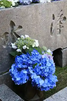 千手院(奈良県)