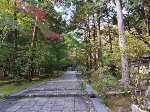 竹林寺(高知県)