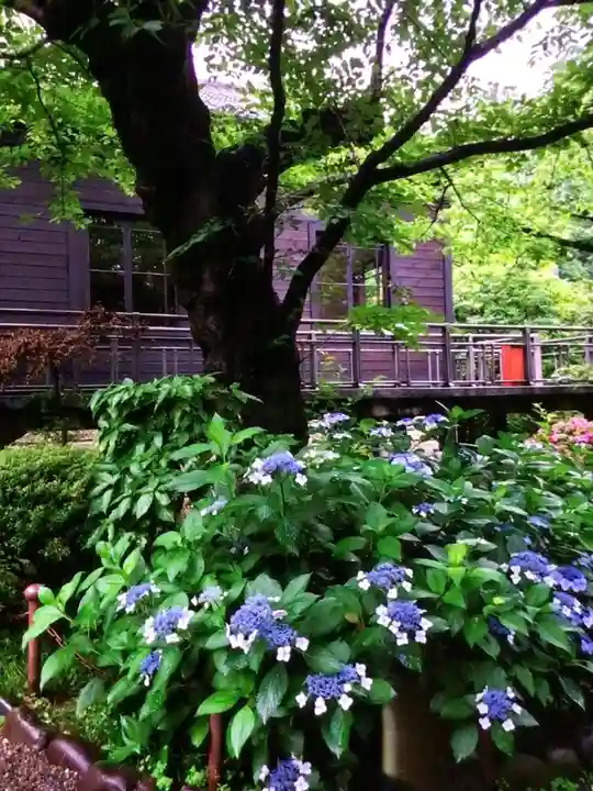 乃木神社(東京都)