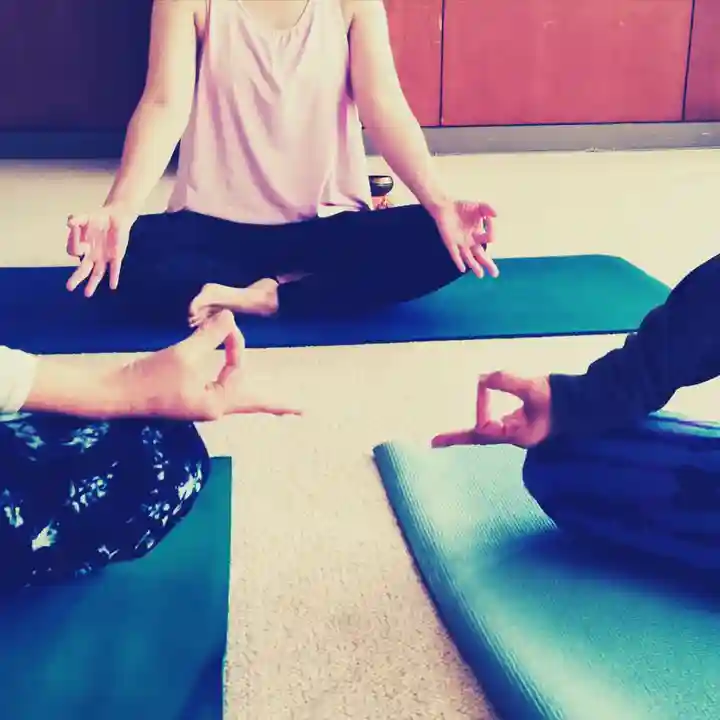 法話と天井絵の寺 観音寺(徳島県)