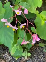 高麗神社の自然