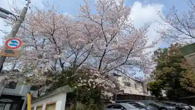 離宮八幡宮(京都府)